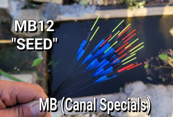 MB12 Seed